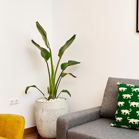 Que Bueno Que Viniste Caceres Apartment Luaran gambar