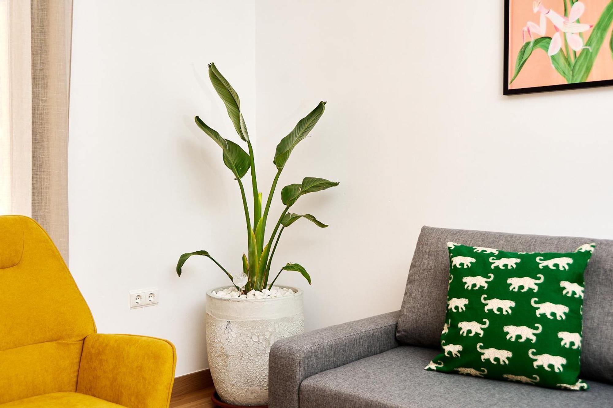 Que Bueno Que Viniste Caceres Apartment Luaran gambar
